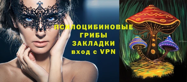хмурый Горно-Алтайск