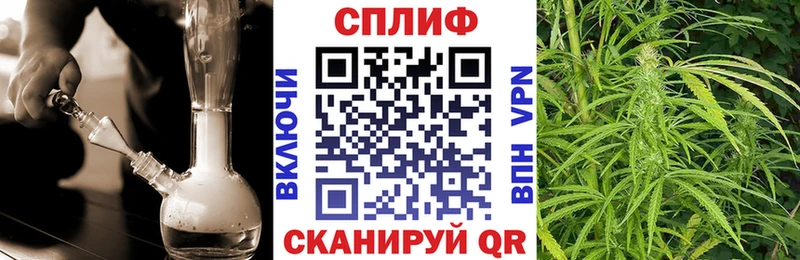 Бошки марихуана THC 21%  Чехов 